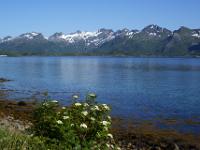 Blick über den Henningsværstraumen gen Austvågøya - Lofoten